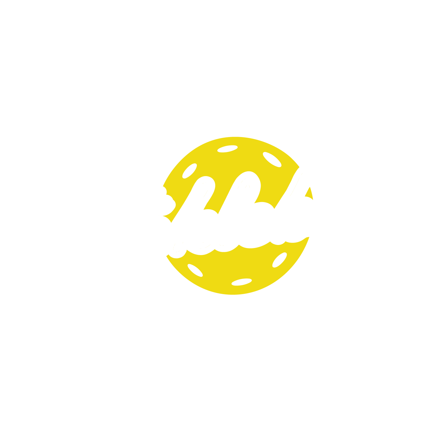 Le Tournoi de Pickleball 2026